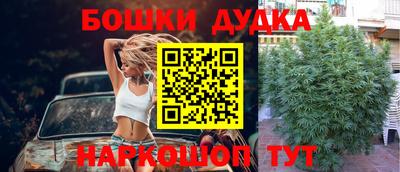 мяу мяу мука Бугуруслан